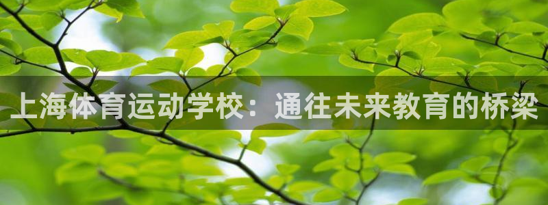 MK体育官方正版app官方:上海体育运动学校:通往未来教育的