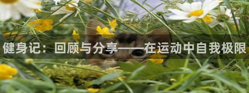 MK体育官方集团官网:健身记:回顾与分享——在运动中自我极限