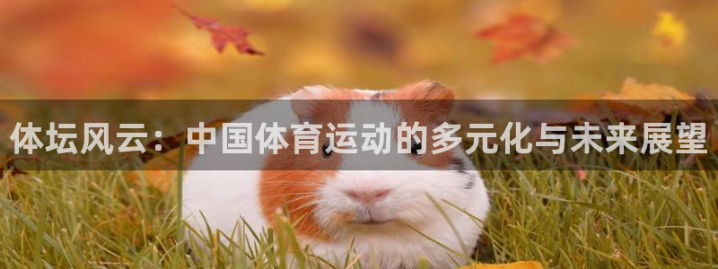 MK体育官方正版app娱乐首页网站大全:体坛风云:中国体育运